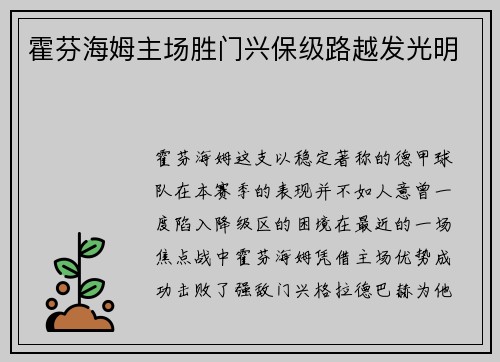 霍芬海姆主场胜门兴保级路越发光明